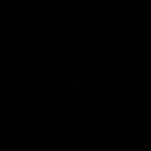 Meet your Posher, Autumn